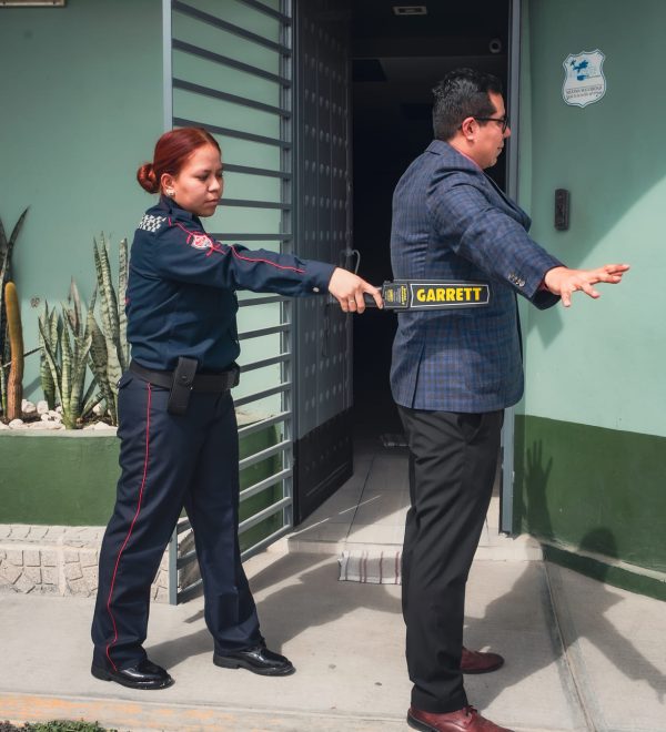 Seguridad Intramuros